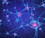 Newly identified small molecule may help treat people with drug-resistant epilepsy