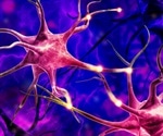 Continuous boosting of natural painkiller shuts down brain cell receptor response