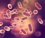 Researchers seek to understand how microbes in the GI tract help people resist pathogens