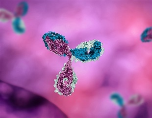 Researchers isolate potent SARS-CoV-2 neutralizing antibodies