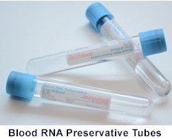 Blood RNA Preservation and Purification System from Bio-Synthesis
