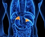 Prolonged corticosteroid treatment increases adrenal gland inflammation