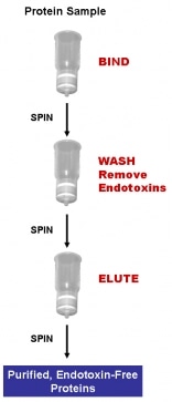 ProteoSpin Endotoxin Removal Maxi Kit from Bio-Synthesis
