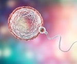Antioxidants do not improve sperm quality