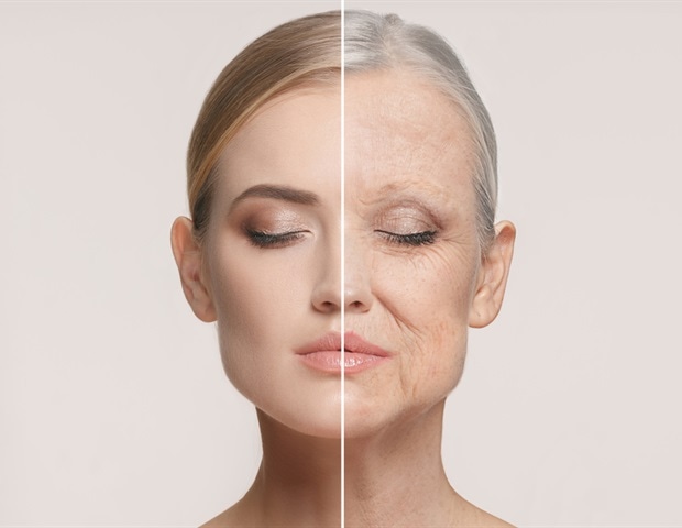 The impact of aging on communication between skin cells revealed in new study