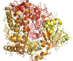 What are Cytochrome P450 Enzymes?