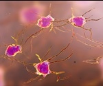 Researchers discover how proteins involved in neurodegeneration enter cells