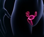 Artificial ovaries could soon be a reality