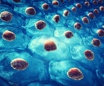 Mutational burden of stem cells studied to improve disease models and therapies