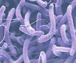 Quorum Sensing and Vibrio Cholerae