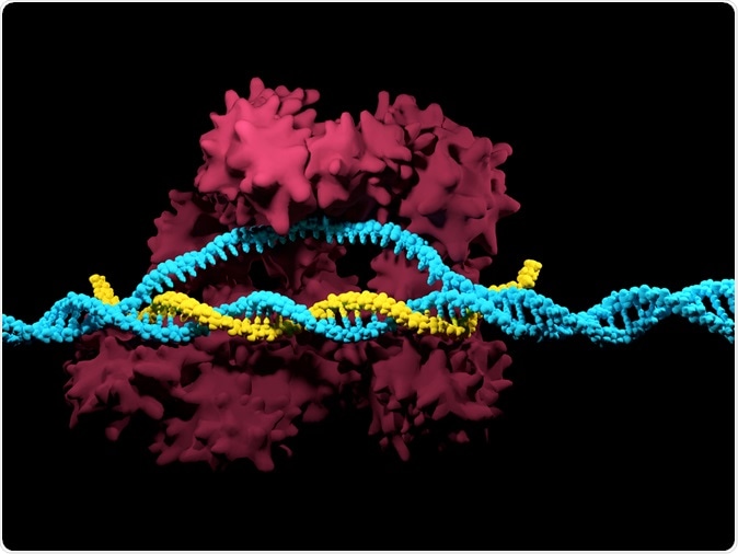 CRISPR-Cas9. Image Credit: Meletios Verras