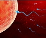 Small RNA in sperm shown to be essential for embryonic development