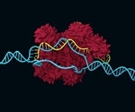 Researchers discover why CRISPR gene editing sometimes fails