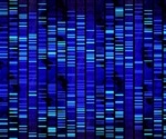 Researchers identify genes associated with aggressive behavior