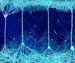 Lab-Grown Neurons