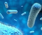 Study sheds light on how good bacteria prevent gut inflammation