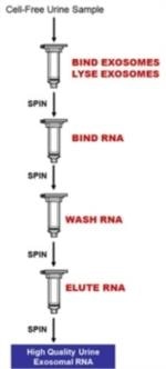 Urine Exosome RNA Isolation Kit from Bio-Synthesis
