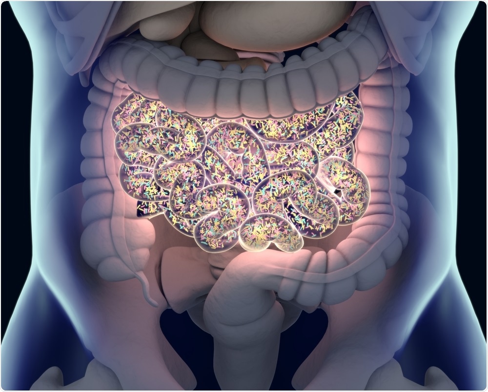 Bacteria in the gut microbiome