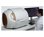 Monitoring of Transdermal Drug Delivery in Skin Using the Renishaw Biological Analyzer