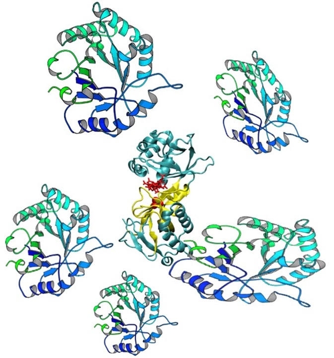 Protein impurities may produce false binding signals