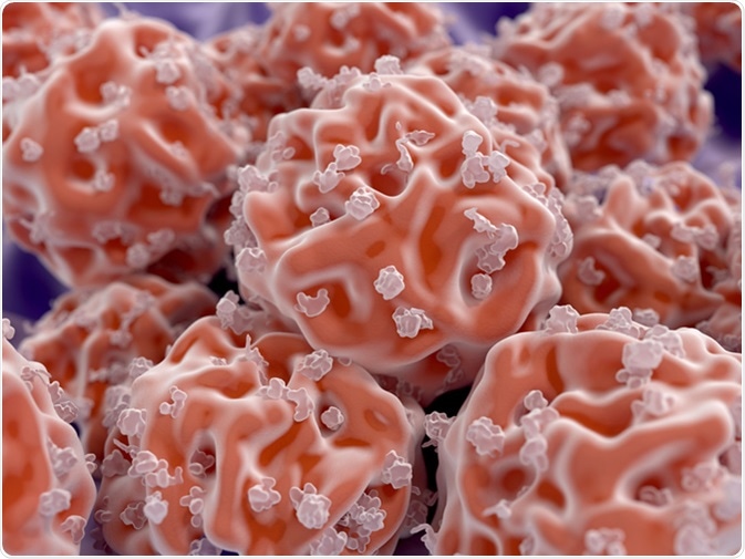 Stem cells, 3D digital illustration - Image Credit: Juan Gaertner/ Shutterstock