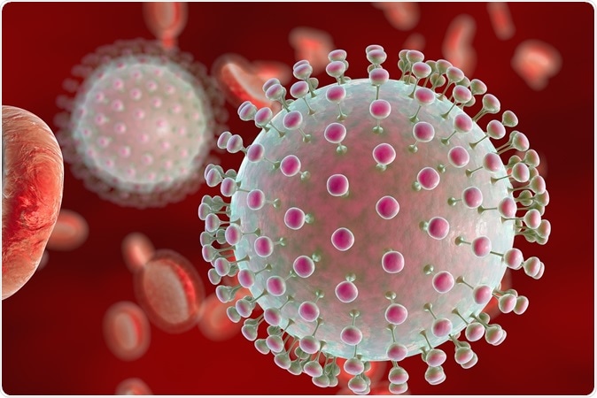 Zika virus in blood with red blood cells, a virus which causes Zika fever found in Brazil and other tropical countries.  Image Credit: Kateryna Kon / Shutterstock