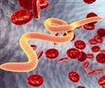 UC Riverside scientist to shed light on worm infections that escape detection by immune systems