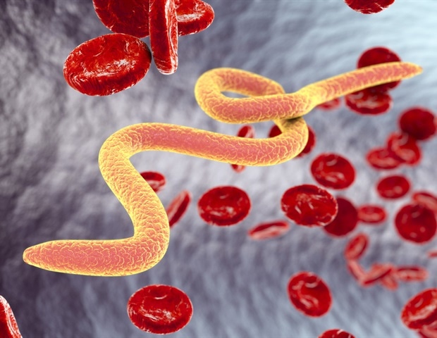 Intestinal worm infection can cause severe sexually transmitted viral  diseases