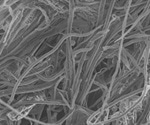 Nanocellulose fibers can reduce fat absorption, research finds