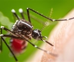 Genetically modified mosquitoes and special bed nets help tackle deadly diseases