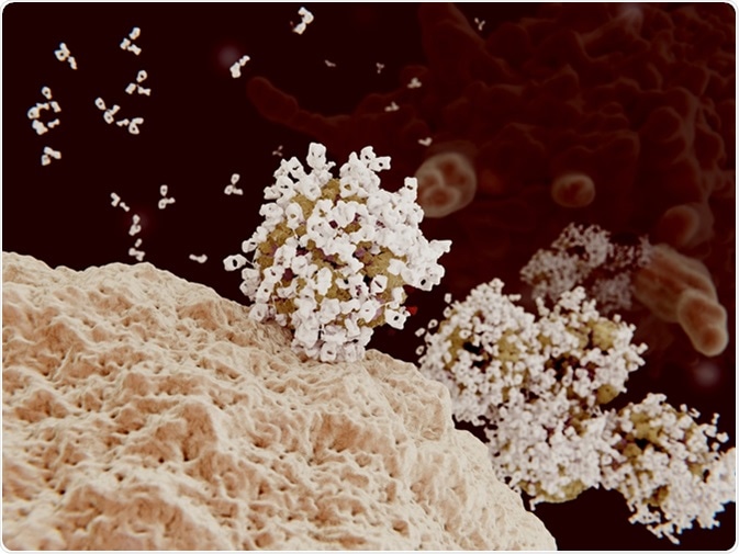 Antibody opsonization of influenza viruses. 3D rendering. Viruses coated with antibodies can