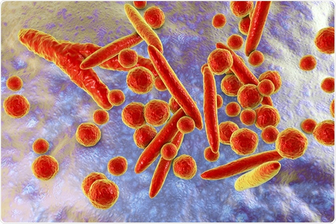 Mycoplasma bacteria, 3D illustration showing small polymorphic bacteria which cause pneumonia, genital and urinary infections. Image Credit: Kateryna Kon / Shutterstock