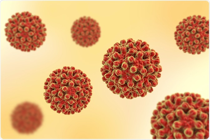 Hepatitis B viruses, 3D illustration. Image Credit: Kateryna Kon / Shutterstock