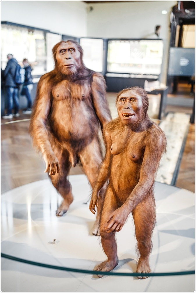 Two ancient prehistoric man and female Neanderthal. Image Credit: frantic00 / Shutterstock