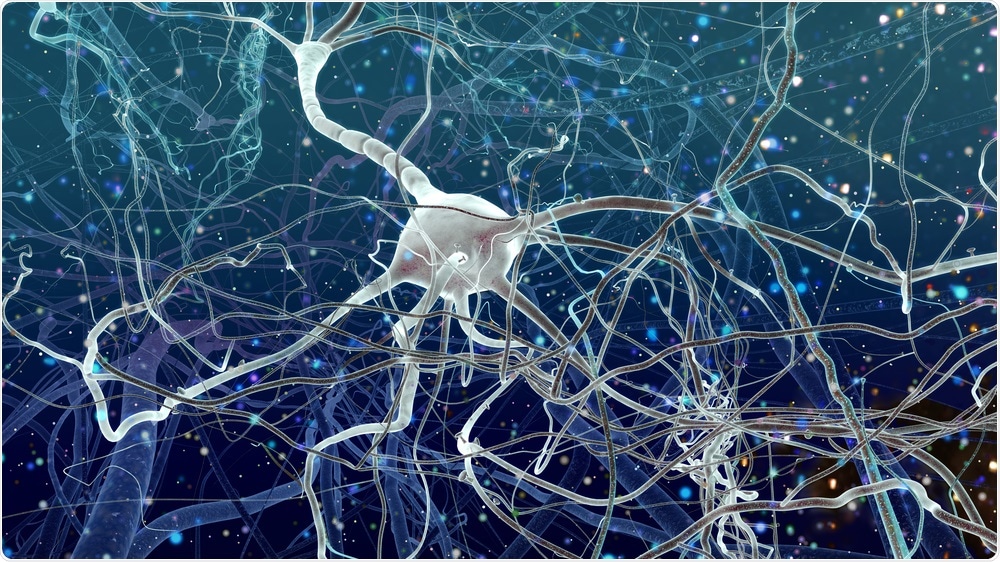 Neurons tangled in Alzheimer