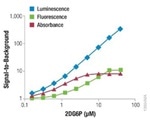 Comparison of Glucose Uptake Assay Methods