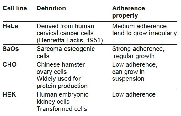Cell lines used for the experiments.