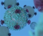 Overlooked immune cells could play a key role in cancer immunotherapy, claims new study