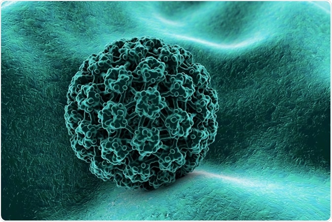 Background with virus. Human papillomavirus on the surface of a cell. A model is built using data of viral macromolecular structure from Protein Data Bank (PDB 3J6R). Image Credit: Kateryna Kon / Shutterstock