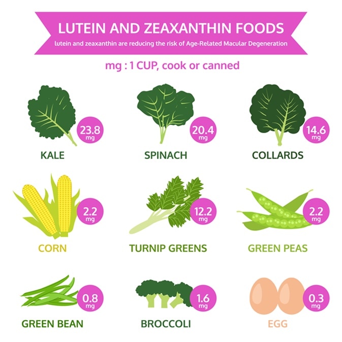 Lutein and zeaxanthin foods, info graphic food, fruit and vegetable icon vector. Image Credit: Plalek / Shutterstock