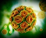 Hybrid Capture-Based Human Papillomavirus Detection