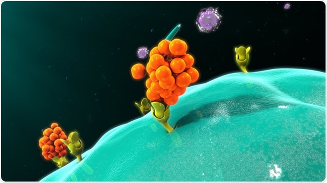 Macrophage releasing cytokines. Image Credit: Sciencepics / Shutterstock