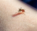 Measures for Preventing Malaria When Travelling Abroad