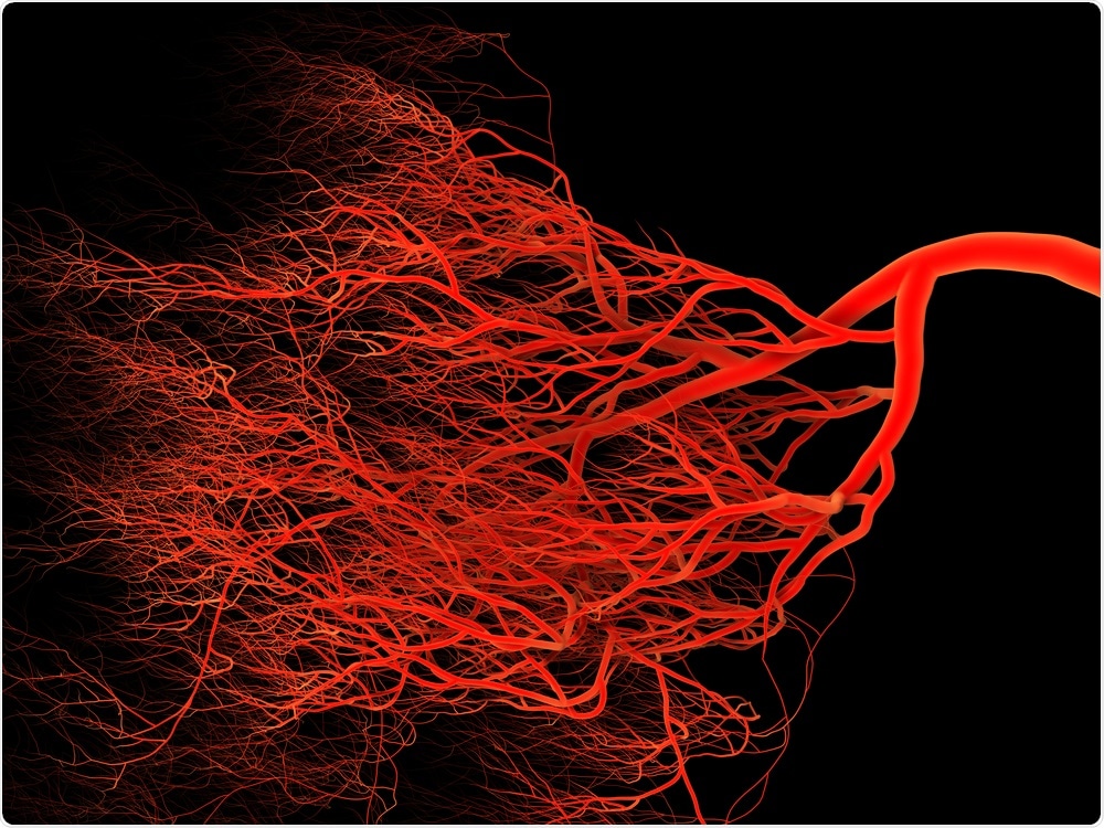 Does inhibiting the formation of the new blood vessels aid in
