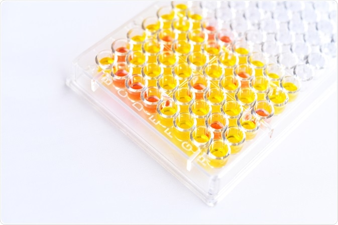 ELISA plate with orange and yellow color change - picture taken by Jarun Ontakrai