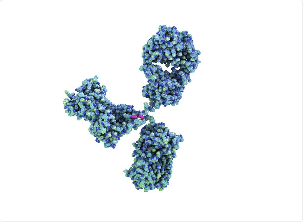 Illustration of an antibody used in a multiplex assay - by Kateryna Kon