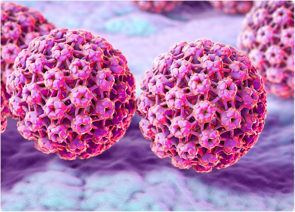 Illustration of the Human Papilloma virus (HPV), which causes cervical cancer in women. - illustration by Kateryna Kon