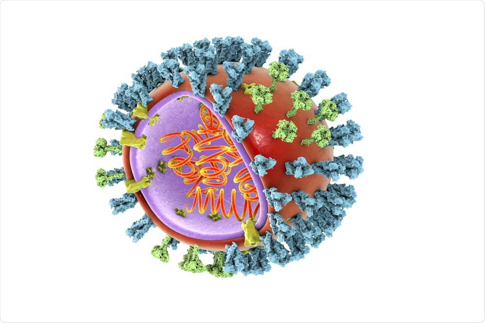 Structure of H1N1 influenza virus