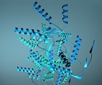 Computational-based Approaches to Protein Function Prediction
