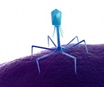 Phage Display: Applications in Research